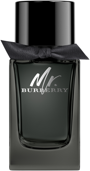 Burberry Mr. Burberry EdP Nat. Spray