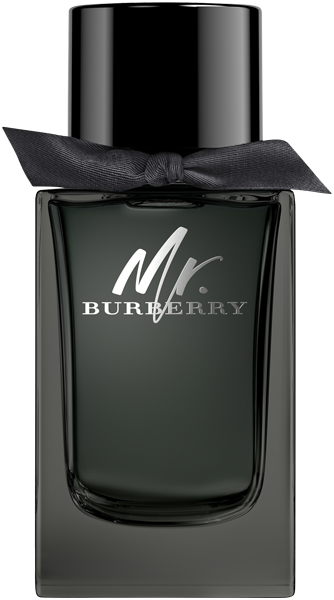 Burberry Mr. Burberry EdP Nat. Spray
