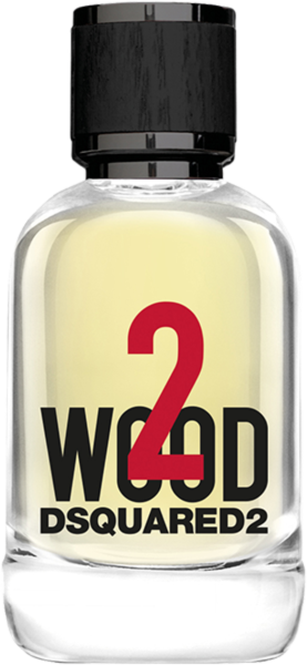 Dsquared2 Perfumes 2 Wood EdT Nat. Spray
