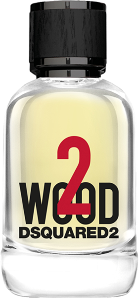 Dsquared2 Perfumes 2 Wood EdT Nat. Spray