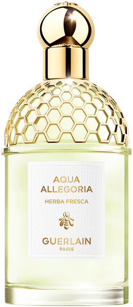 Guerlain Aqua Allegoria Herba Fresca EdT Spray