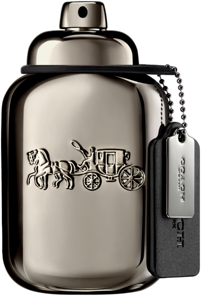 Coach Pure Platinum Parfum