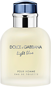 Dolce & Gabbana Light Blue Pour Homme EdT Nat. Spray