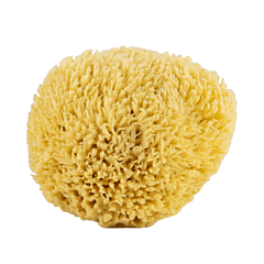 Ligne St. Barth Éponge Zimokka