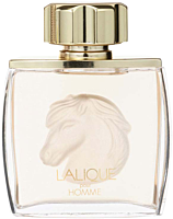 Lalique Pour Homme Equus EdP Nat. Spray