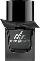Burberry Mr. Burberry EdP Nat. Spray