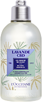 L'Occitane Lavendel CBD Duschgel